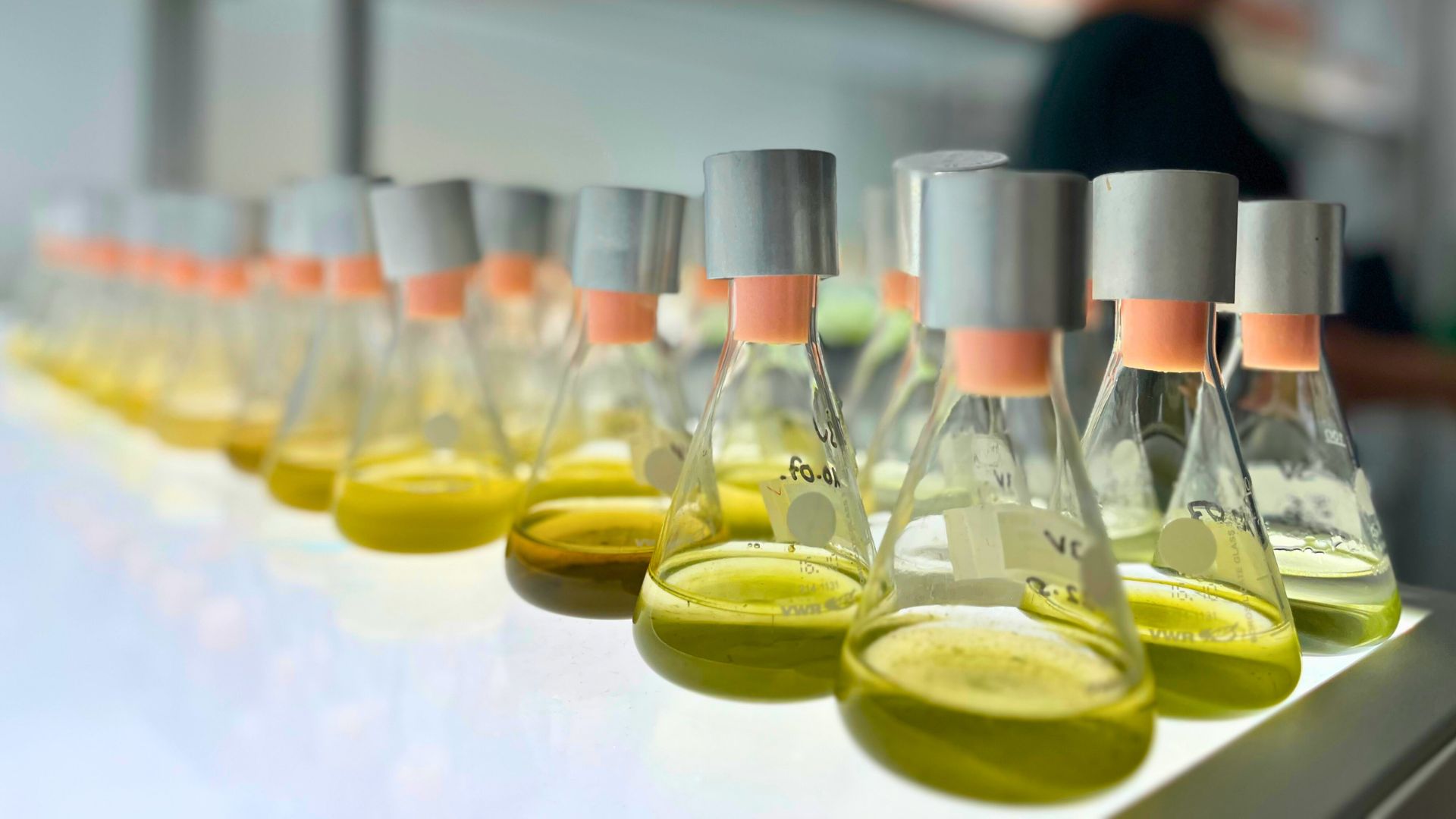 Forschende der Universität Duisburg-Essen werden hoch zitiert - Titelbild