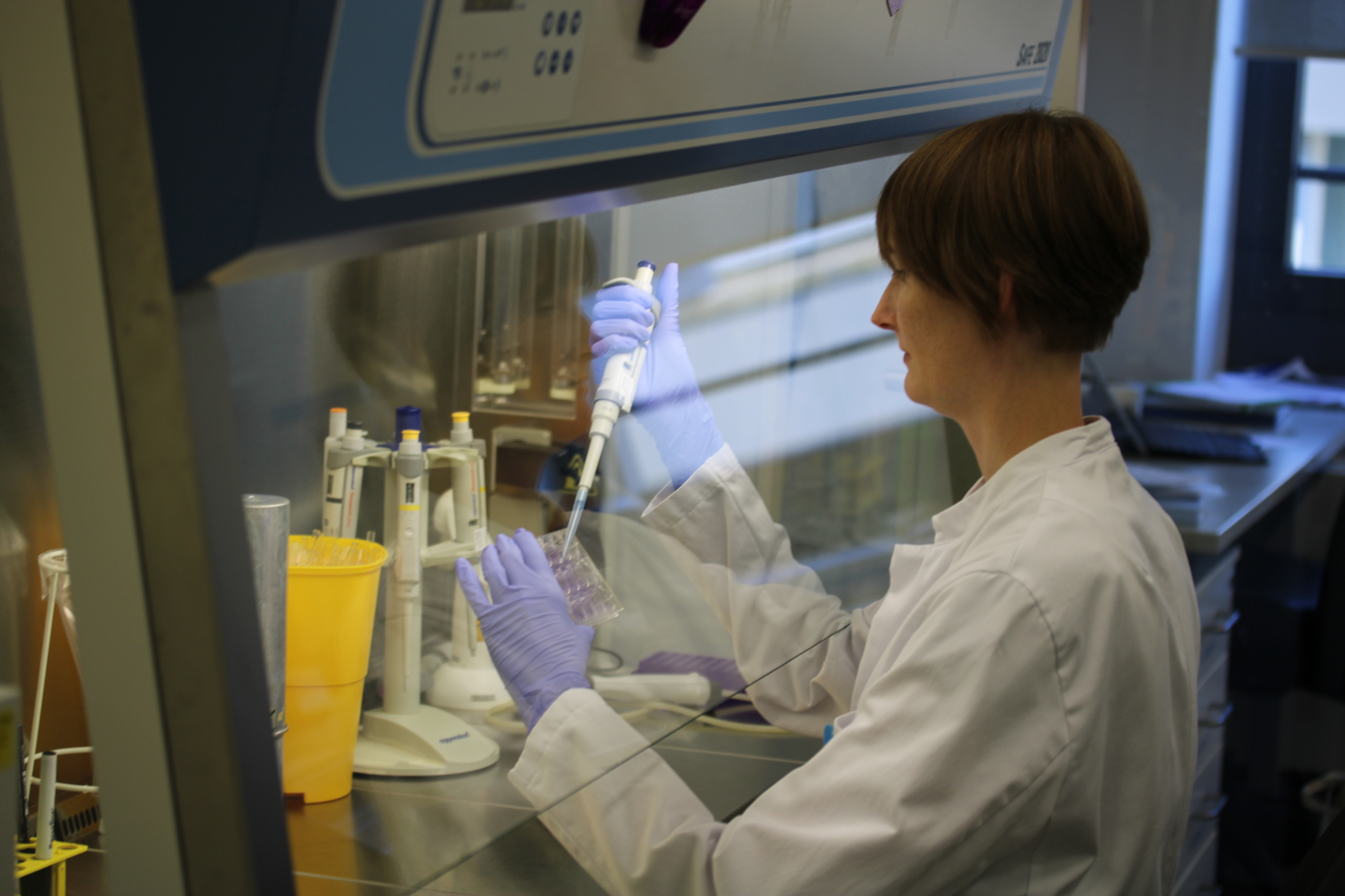 DFG fördert Essener Immunforscherin: Was Schilddrüsenhormone mit Grippe und Krebs zu tun haben könnten - Titelbild